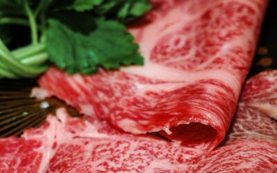Wagyu et bœuf de Kobe : démêler le vrai du marketing Fines tranches de bœuf wagyu très persillé présentées sur un plat